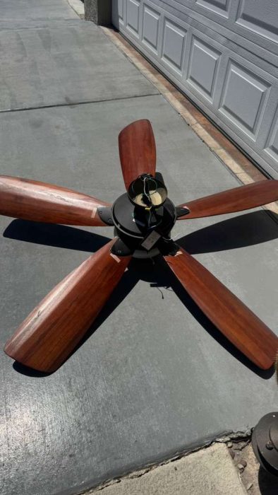 fan